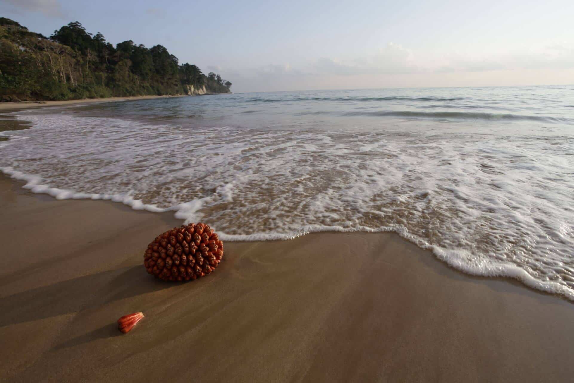 Baludera Beach