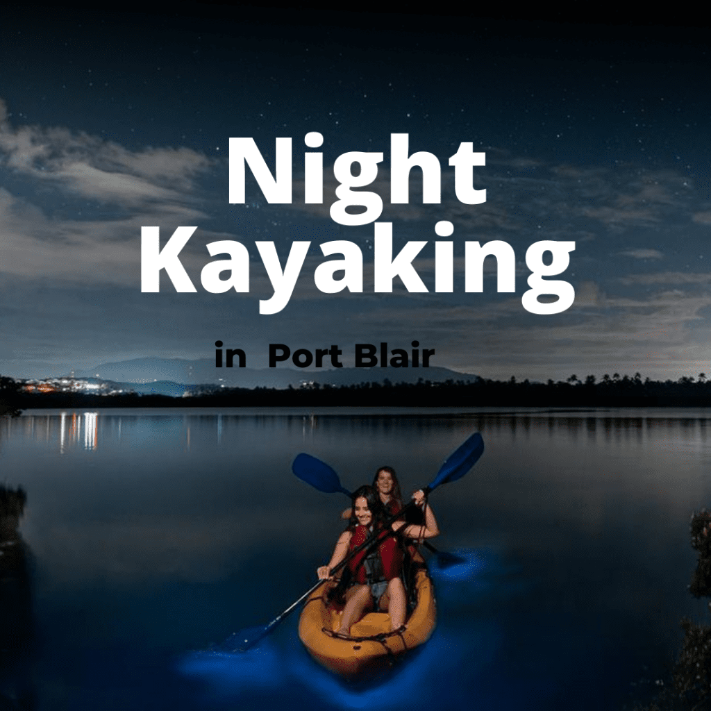 nightkayaking