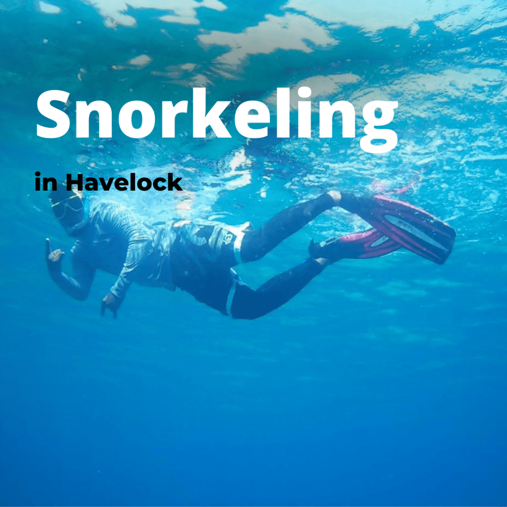 snorkeling