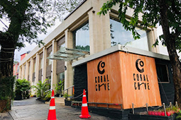 Sea Shell Coral Cove