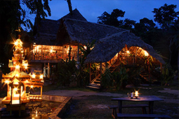 The Wild Orchid Resort